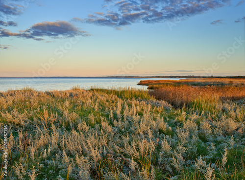 Wetland  nature and sunset with landscape in countryside with foliage  plants and rural environment in Denmark. Agriculture  water and cloudy sky for sustainability  scenery and location for ecology