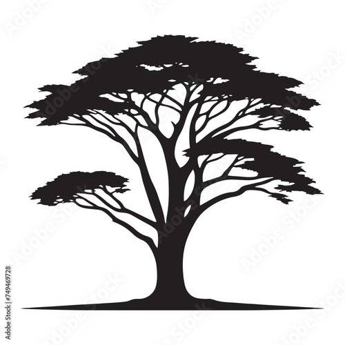 A Touch of the Mediterranean: A Classic Cypress Tree Silhouette Evoking Warmth - Cypress Tree Illustration - Cypress Tree Vector
