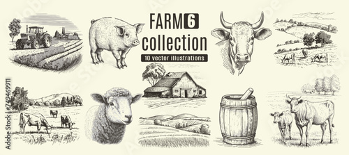 Rural meadow or countryside farm set. A village landscape with cows, goats and lamb, hills and a farm.