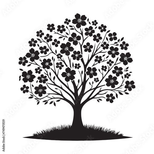 Delicate Beauty: A Graceful Dogwood Tree Silhouette Embracing Spring - Dogwood Tree Illustration - Dogwood Tree Vector
