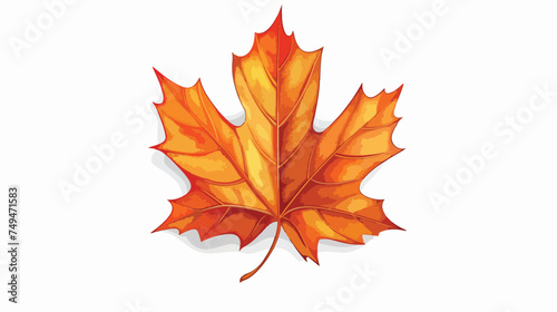 Autumn leaf maple foliage flora decoration isolated