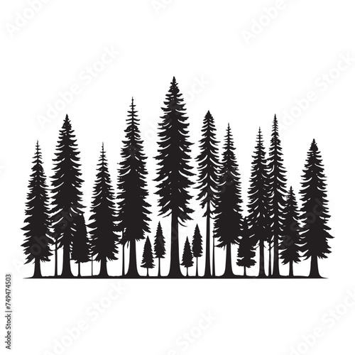 Redwood Tree Silhouette Captured in Minimalist Design: A Timeless Expression of Nature's Majesty - Illustration of Redwood Tree - Vector of Redwood Tree - Silhouette of Redwood Tree
