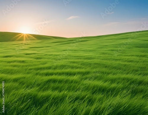 Green evening sunset meadow with sky backdrop, sustainability and space background