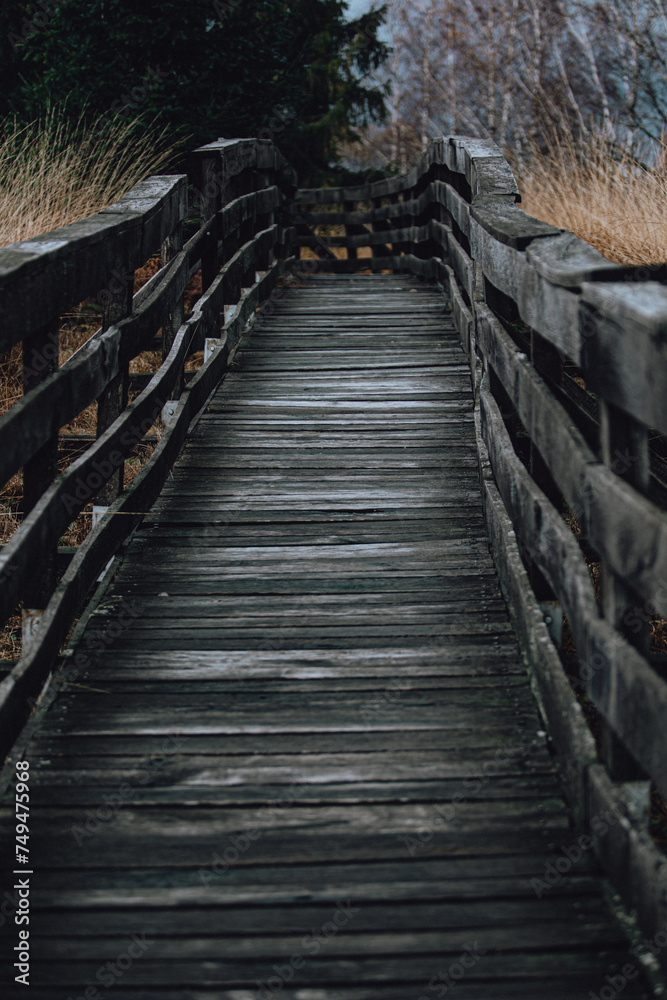 bridge, wood, wooden, path, stairs, nature, walkway, water, boardwalk, staircase, landscape, beach, footpath, travel, sky, river, forest, architecture, road, tree, green, way, footbridge, walk, pathwa bridge, wood, wooden, path, stairs, nature, walkway, water, boardwalk, staircase, landscape, beach, footpath, travel, sky, river, forest, architecture, road, tree, green, way, footbridge, walk, pathwa