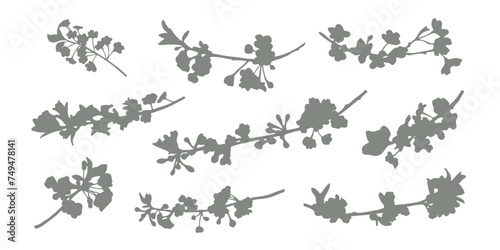 Set of silhouettes of flowering trees with flowers. Vector set of blooms