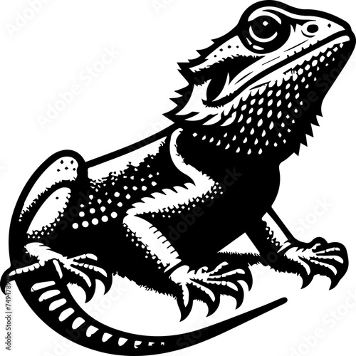  Agama Lizard 