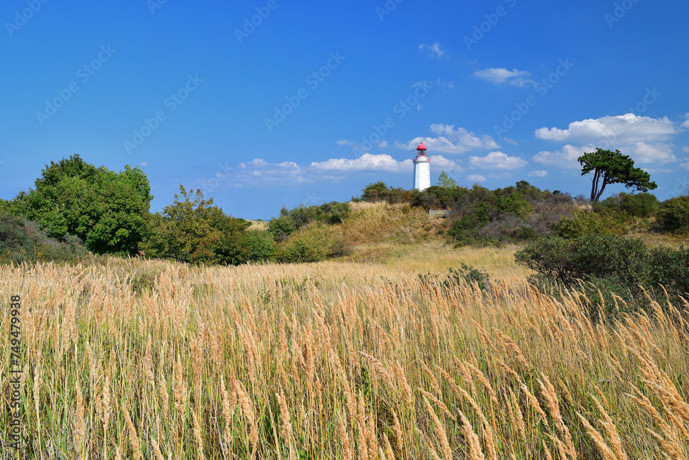 Landschaft auf Hiddensee | Ostsee