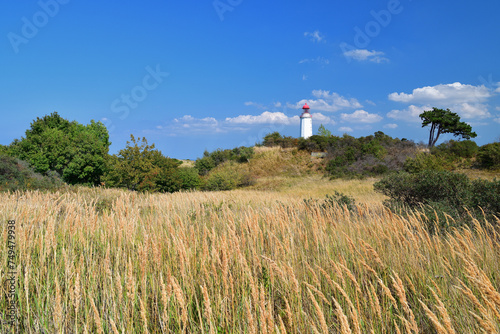 Obraz na płótnie Landschaft auf Hiddensee | Ostsee w salonie