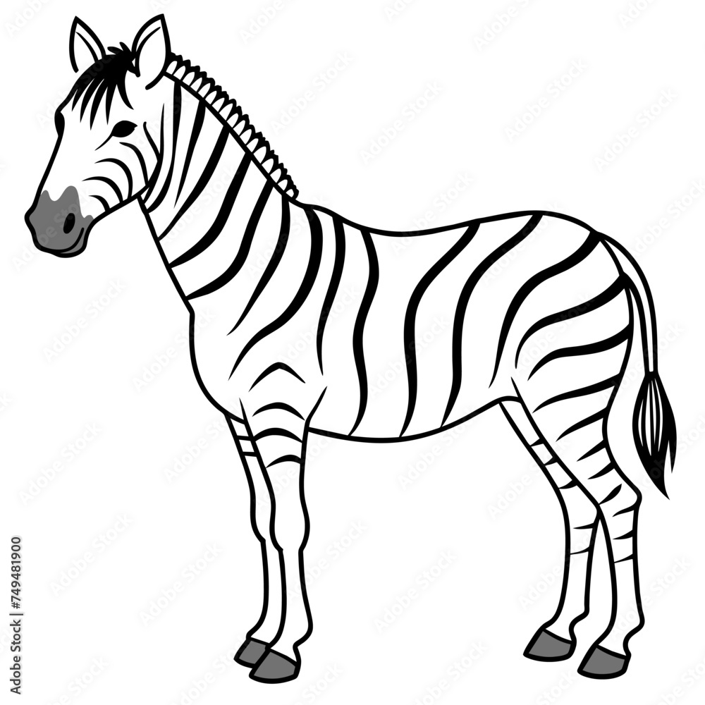 Graphical set of zebra isolated on white background,vector illustration
Graphical set of zebra isolated on white background,vector illustration