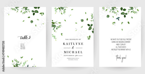 Herbal minimalist vector banners. Hand painted plants, branches, leaves on a white backgrounds. Greenery wedding simple photo