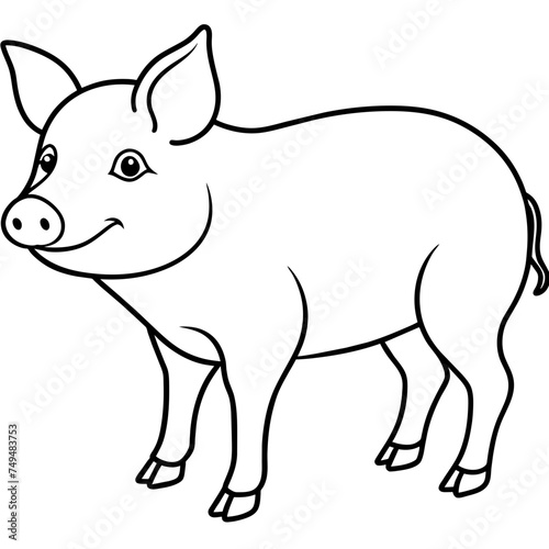 Pig, swine, boar, piglet, piggy, animal, pet, vector, illustration, draw, cartoon, pretty, cute