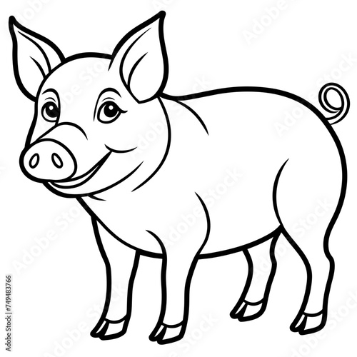 Pig, swine, boar, piglet, piggy, animal, pet, vector, illustration, draw, cartoon, pretty, cute