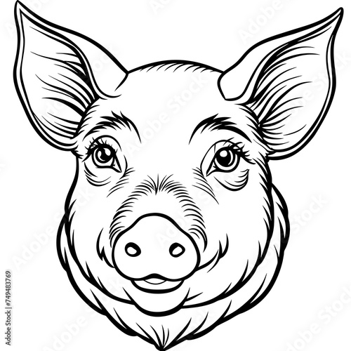 Pig, swine, boar, piglet, piggy, animal, pet, vector, illustration, draw, cartoon, pretty, cute