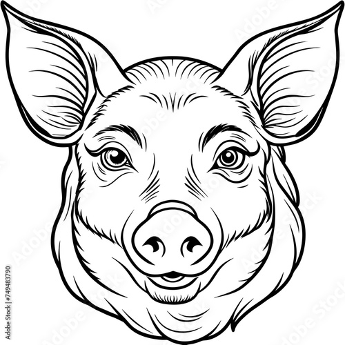Pig, swine, boar, piglet, piggy, animal, pet, vector, illustration, draw, cartoon, pretty, cute