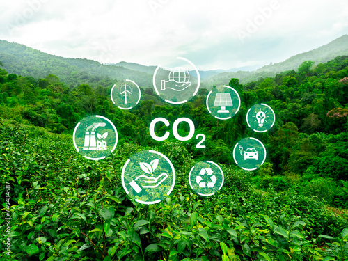 Green energy development, ecology environment, save the planet, climate change, sustainable concepts. Text, CO2 surrounded with renewable energy symbol on forest and green mountain view background.