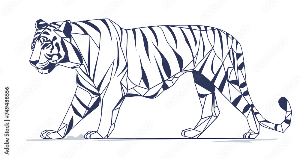 Rysunek tygrysa na białym tle, zarys, szkic - obrazy, fototapety, plakaty 