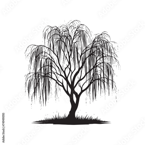 A Weeping Willow Tree Silhouette - Evoking Emotions of Serenity and Sorrow - Illustration of Willow Tree - Vector of Willow Tree - Silhouette of Willow Tree
