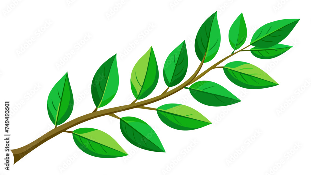 Fototapeta premium green leaves isolated on white