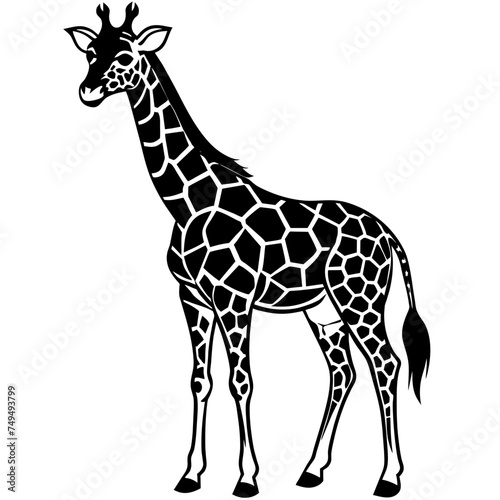 Giraffe in a cartoon style, is insulated on white background. easy to use.
