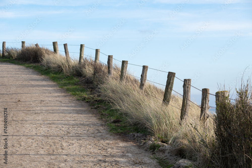 fenced path over the dunes on the dutch north sea in zeeland