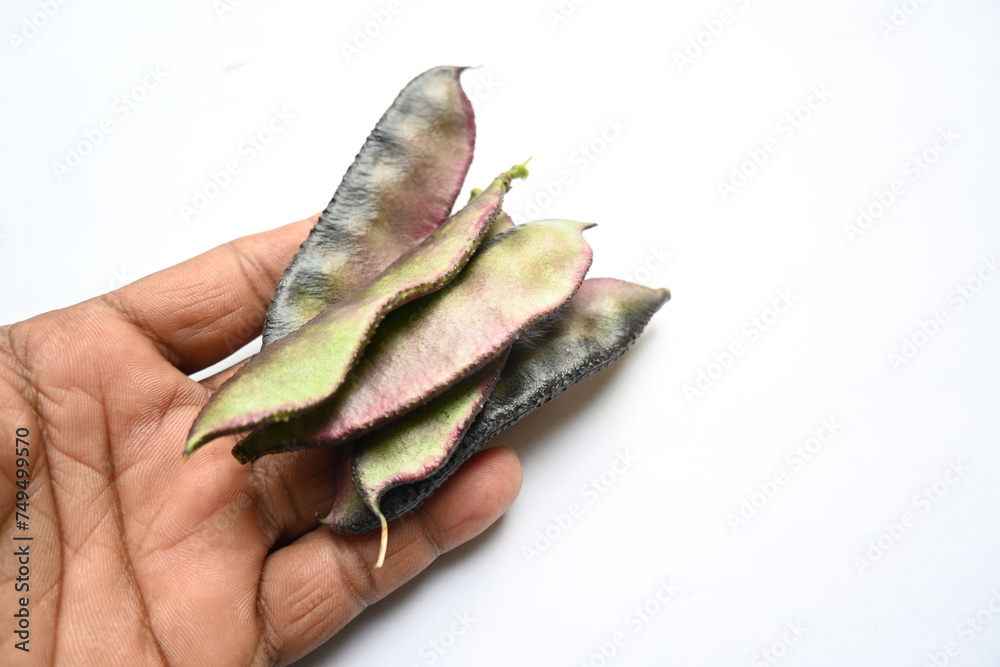 Fototapeta premium Lablab purpureus vegetable. It&nbsp;is a species of&nbsp;bean&nbsp;in the family&nbsp;Fabaceae. Its other names lablab bean,&nbsp;bonavist bean pea,&nbsp;dolichos bean,&nbsp;seim,&nbsp;lablab,&nbsp;Egyptian kidney bean,&nbsp;Indian bean. 