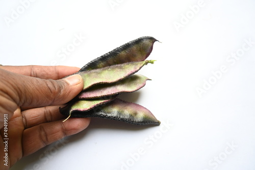 Lablab purpureus vegetable. It is a species of bean in the family Fabaceae. Its other names lablab bean, bonavist bean pea, dolichos bean, seim, lablab, Egyptian kidney bean, Indian bean.  photo