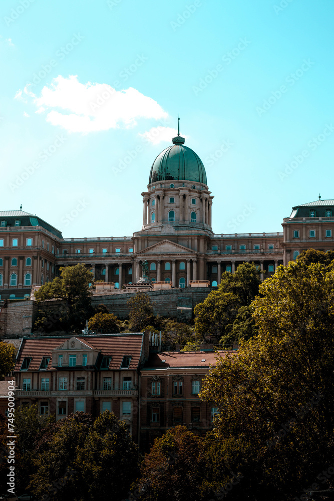 Naklejka premium Buda Castle