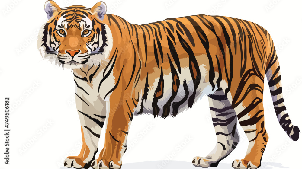 Obraz premium Majestic Bengal tiger over white isolated on white 