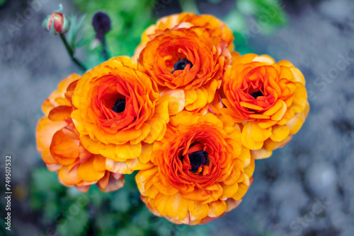 bouquet of orange roses in a garden 