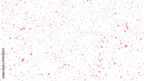 cherry blossoms, pink flower petals in air, spring season background