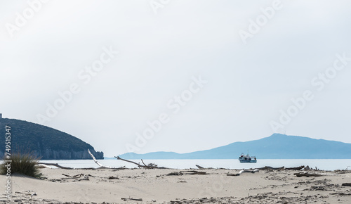 views of the beach inside the Parco dell Uccellina  Grosseto  Tuscany  Italy