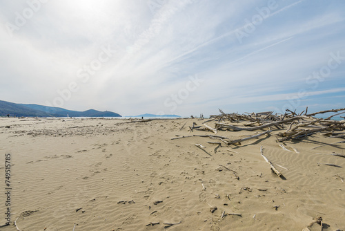 Fototapeta Naklejka Na Ścianę i Meble -  views of the beach inside the Parco dell'Uccellina, Grosseto, Tuscany, Italy