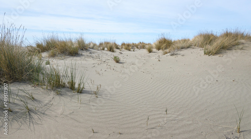 views of the beach inside the Parco dell'Uccellina, Grosseto, Tuscany, Italy