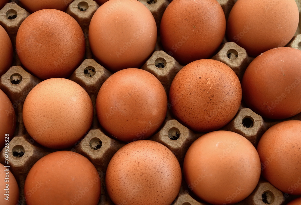 Full fresh eggs of paper tray from hen farm in the package that preserved for sale in wholesale and retail market. Full fresh eggs of paper tray from hen farm in the package that preserved for sale in wholesale and retail market.