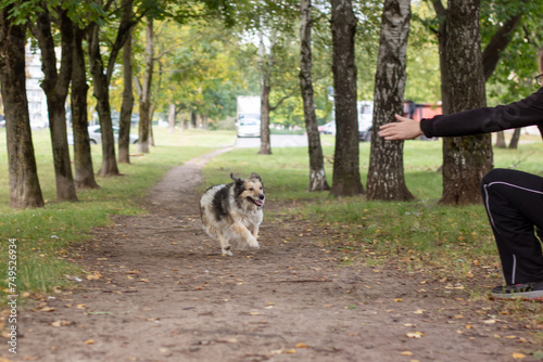 Man and dog walking in autumn park