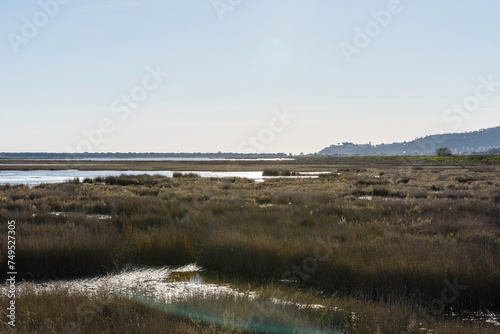 views of the inside of the Diaccia Botrona Natural Reserve, Castiglione della Pescaia, Grosseto, Tuscay, Italy