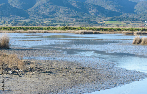 views of the inside of the Diaccia Botrona Natural Reserve, Castiglione della Pescaia, Grosseto, Tuscay, Italy