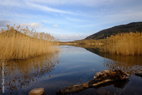 Lac su Salagou dans l'Hérault, dans le sud de la France, reflet dans l'eau, plage avec des roseaux