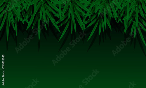 Tropical palm leaves on dark background with space. nature dark green.