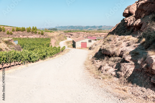 French Way of Saint James - a gravel road through agricultural fields leaving Najera, La Rioja, Spain photo