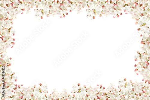 frame of flowers of white viburnum in spring