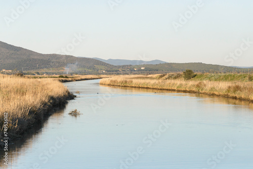 views of the inside of the Diaccia Botrona Natural Reserve, Castiglione della Pescaia, Grosseto, Tuscay, Italy 