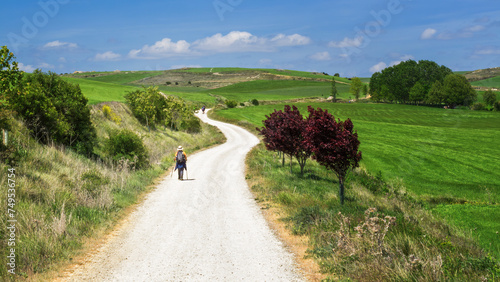 Obraz na płótnie Pilgrims walking along the road to Santiago, way of saint james, Spain