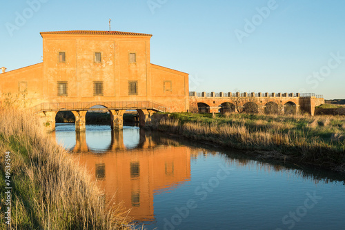 views of the inside of the Diaccia Botrona Natural Reserve, Castiglione della Pescaia, Grosseto, Tuscay, Italy
 photo