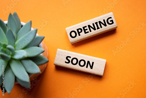 Opening soon symbol. Concept word Opening soon on wooden blocks. Beautiful orange background with succulent plant. Business and Opening soon concept. Copy space