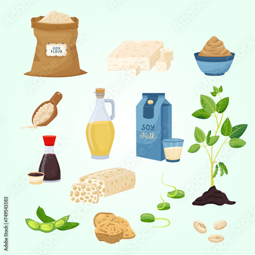 flat set various soy products with beans sauce milk flour sprouts tofu miso paste oil tempeh meat isometric