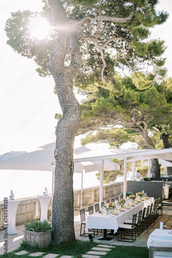 Festive long table stands on the terrace by the sea under sun umbrellas