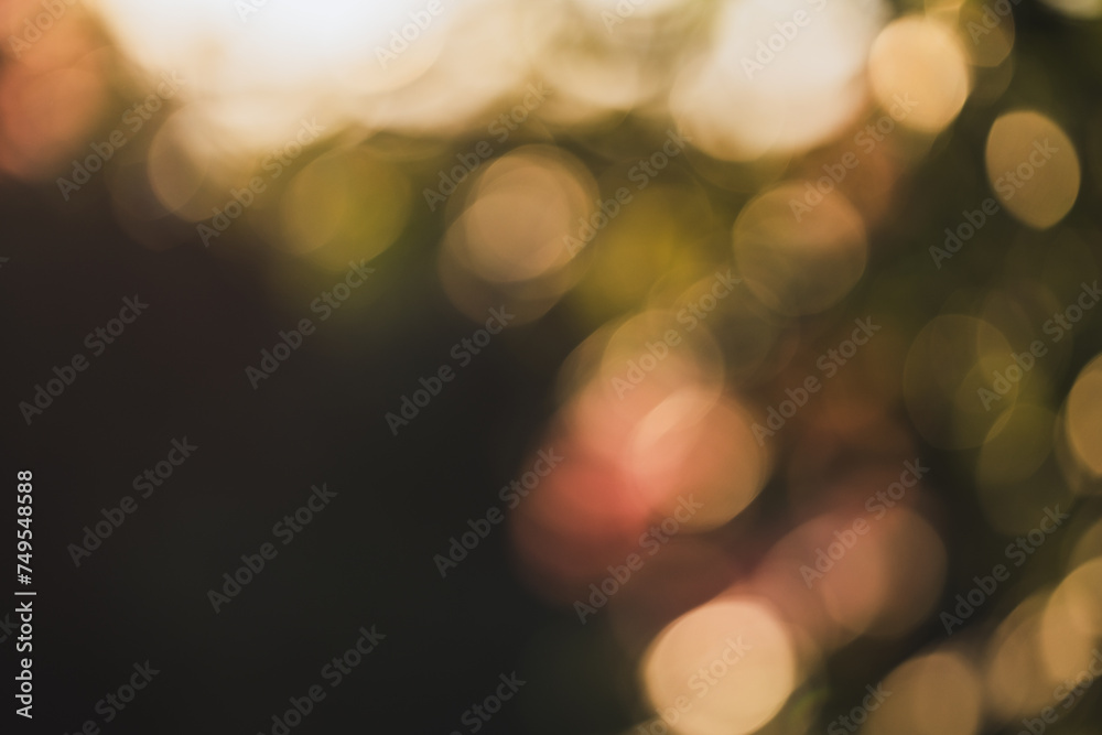 Defocus, bokeh in the garden Defocus, bokeh in the garden