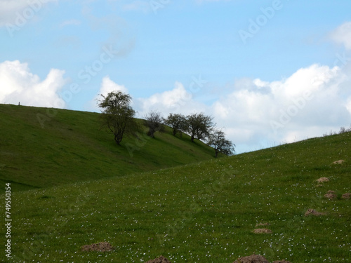 Windows XP style landscape (Fresendorf, Germany)