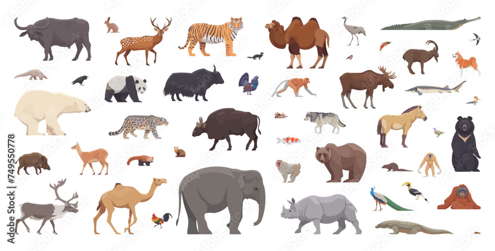 Fototapeta premium Flat set of asian animals. Isolated animals on white background. Vector illustration